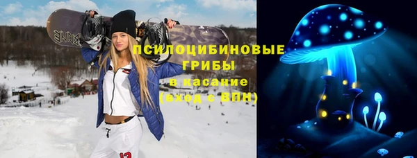 соль ск Балахна