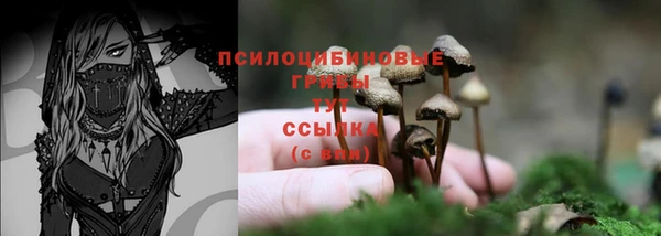 spice Балабаново