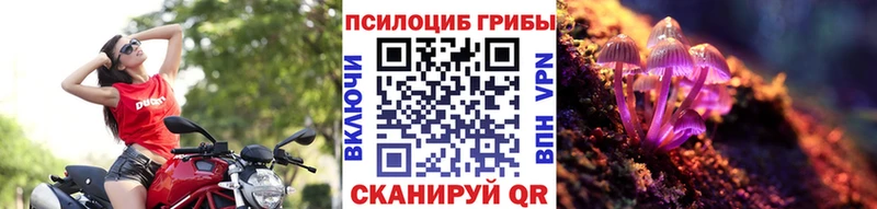 Галлюциногенные грибы мицелий  Пятигорск 