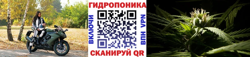 Бошки марихуана гибрид Пятигорск